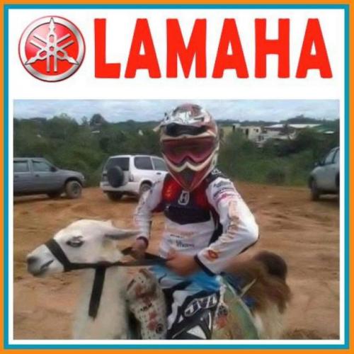 Image attachée