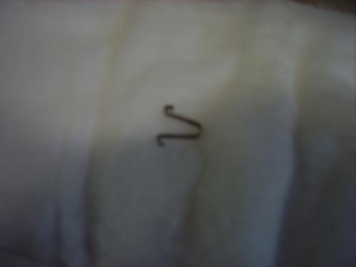 Image attachée