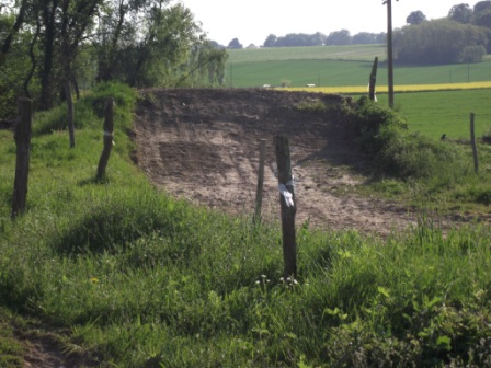 Image attachée