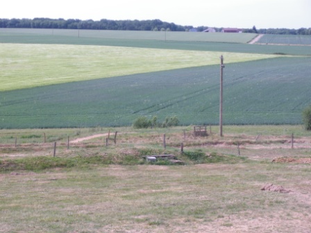 Image attachée