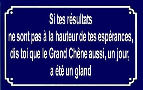 Image attachée
