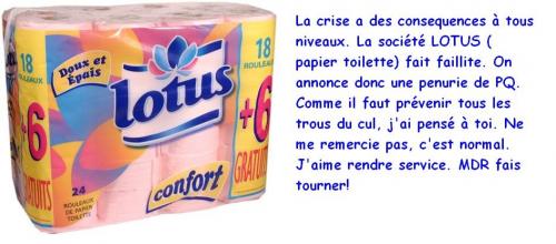 Image attachée