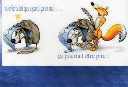 Image attachée