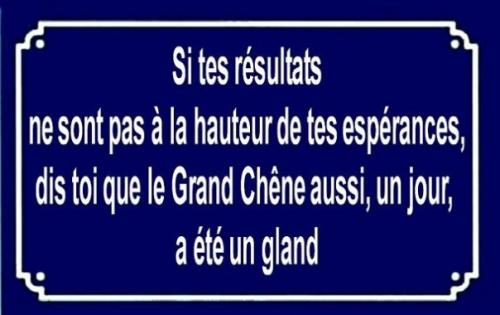 Image attachée