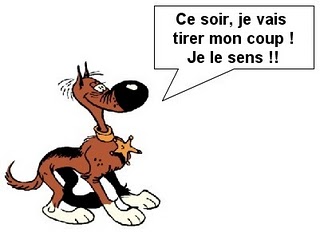 Image attachée