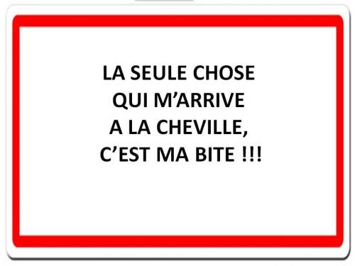Image attachée