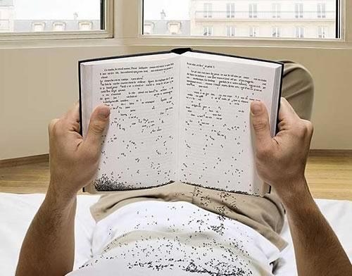 Image attachée