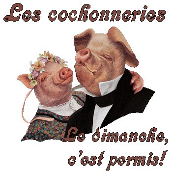 Image attachée
