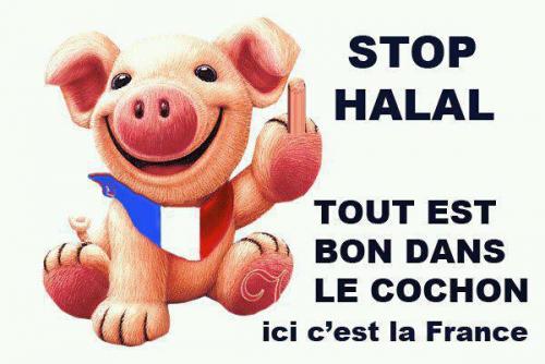 Image attachée