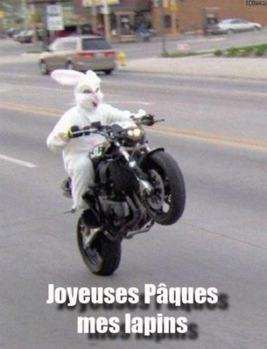 Image attachée