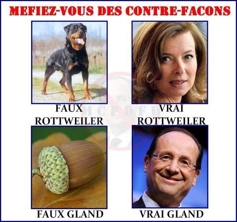 Image attachée