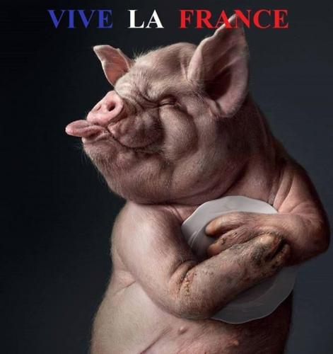Image attachée