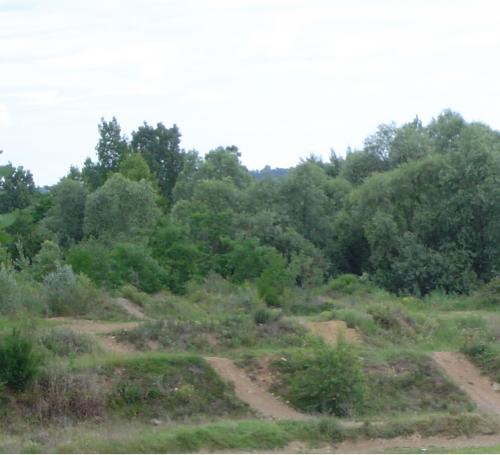 Image attachée