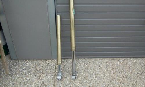 Image attachée