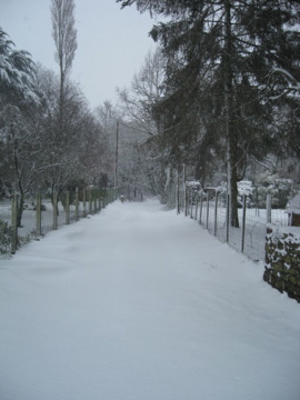 Image attachée