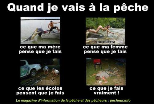 Image attachée