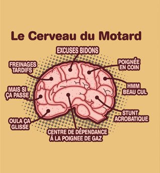 Image attachée