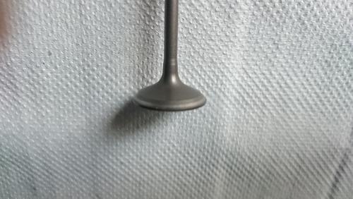 Image attachée