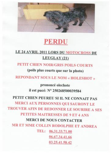 Image attachée