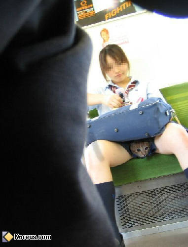 Image attachée