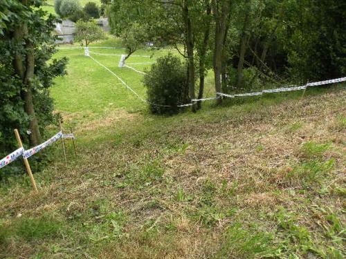 Image attachée