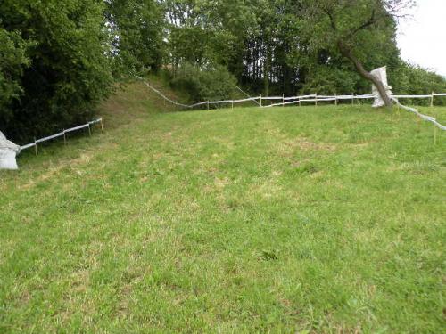 Image attachée