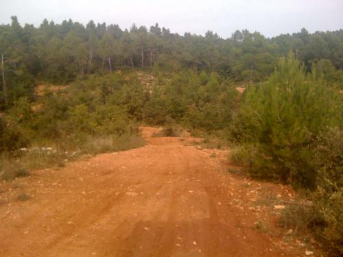 Image attachée