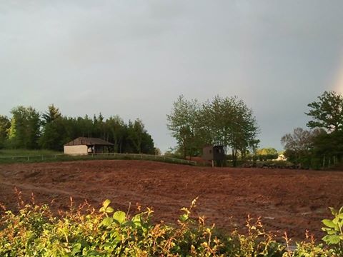 Image attachée