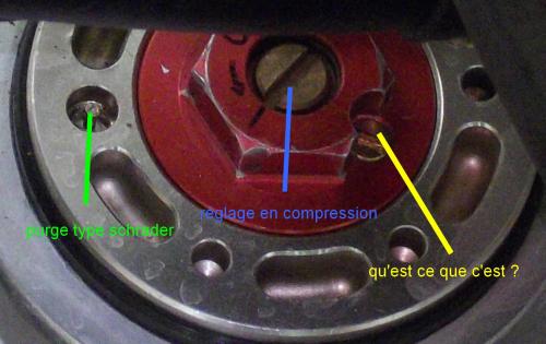 Image attachée