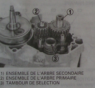 Image attachée