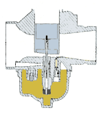 Image attachée