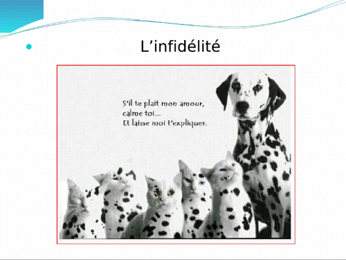 Image attachée