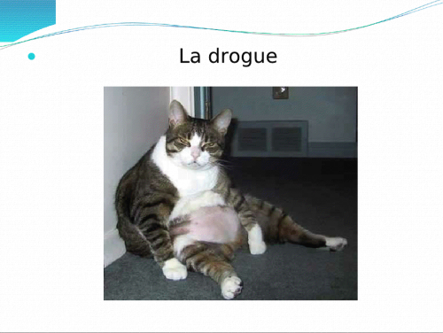 Image attachée