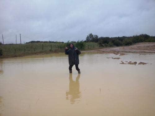 Image attachée
