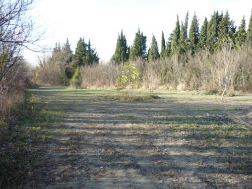 Image attachée