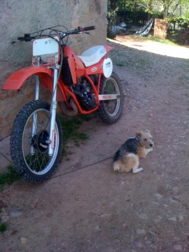 Image attachée